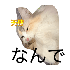 mayurou_20260514194459