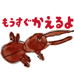 chitomagu_20260514192621