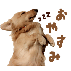 purinaisatsu