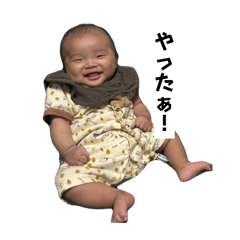 pom_20260514195332