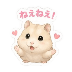 Kinako_20260514195847