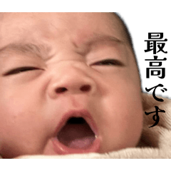 rei_20260514195710