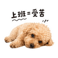 進擊a萌犬-毛毛不想上班系列