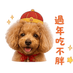 鼻鼻節慶祝賀