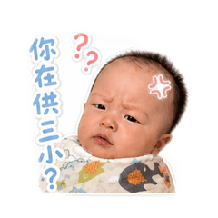 林家小妹 芸～