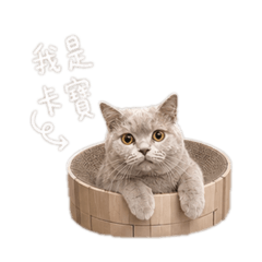 我家有盧卡1