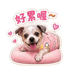 Lulu 慵懶風格
