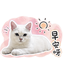 麻吉的日常r