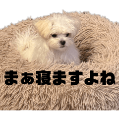 kouske_20260504104756