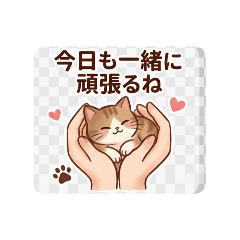 cats mom