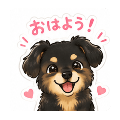 mamo_20260513082031