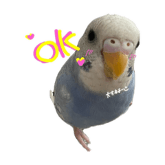 sususu_20260513084419
