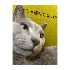 Banan1023y_20260513090415
