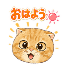 kuma_2026!!