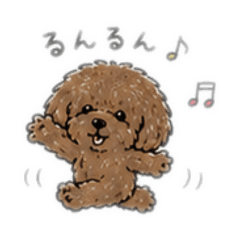 BOM-BOW-DOGWEAR_20260513085721