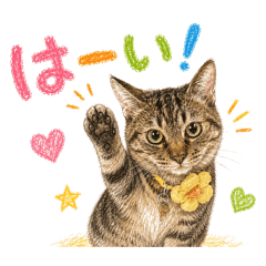 Anyamo_20260513084222