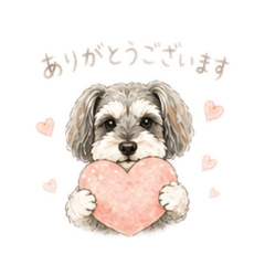 shishi marumama_20260513105104