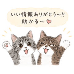 rokuhana_20260513105023