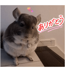 takumaru_20260513115124