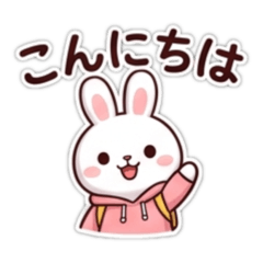 Fluffy White Bunny - Everyday Expression