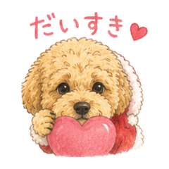 acha_20260513125652