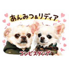 anmituhime_20260513123923