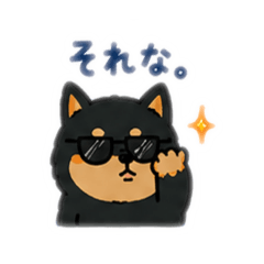 A cheerful Black Shiba Inu