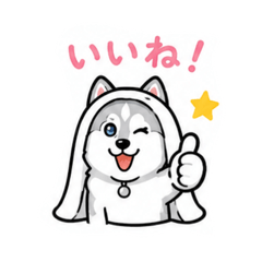 kaochanapple_20260513141300