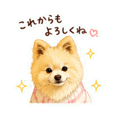 kamiko_20260513142811