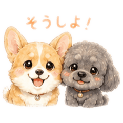 mie_20260513140448