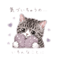 rokuhana_20260513142939