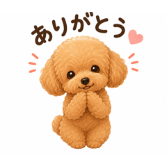 alice papa_202605146