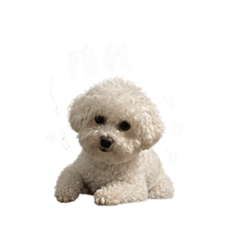 果愛樂福u
