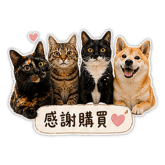 寶貝四千金-賣家實用篇