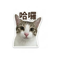 島輝&仙草