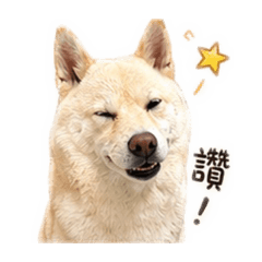 啊寶與阿丁