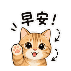亨睿的白貓and黃貓