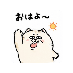 BUSA LABO_20260513155904