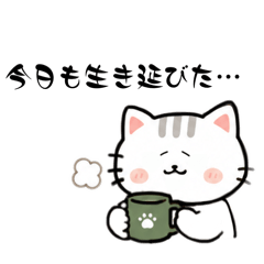 miru_20260513163613