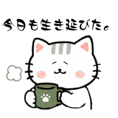 miru_20260513164316