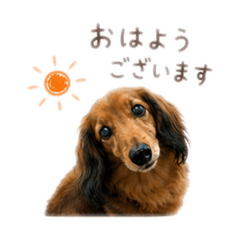 wantaro_20260513155405