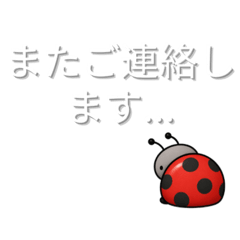 Nikora_20260513165845
