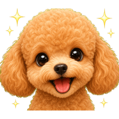 Big Face No Text Reactions Toy Poodle