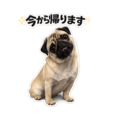 minesono_20260513182554