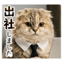 PawPaw Studio_20260513181052