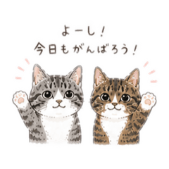 rokuhana_20260513183518