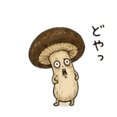 hinano.chan_20260513184558
