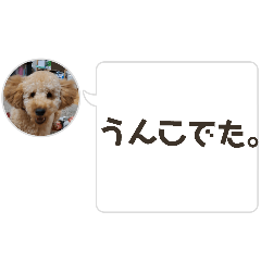 SUZU_20260514144258