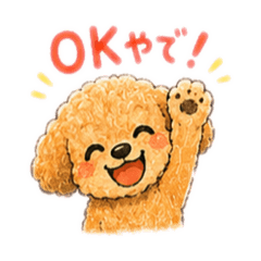 Toypoodle Kai 's Osaka style