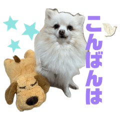 yu_20260514144453